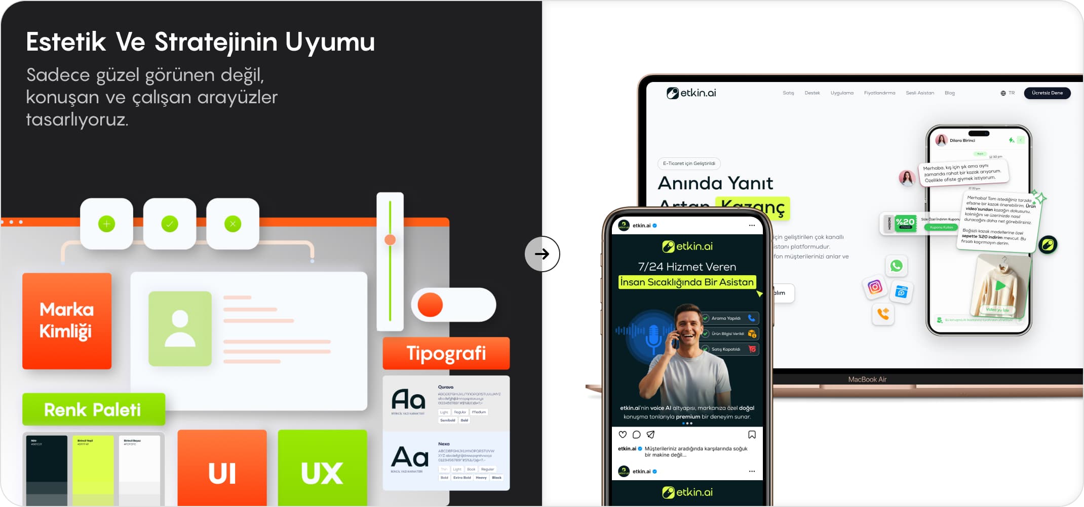 Web Tasarımı & Geliştirme